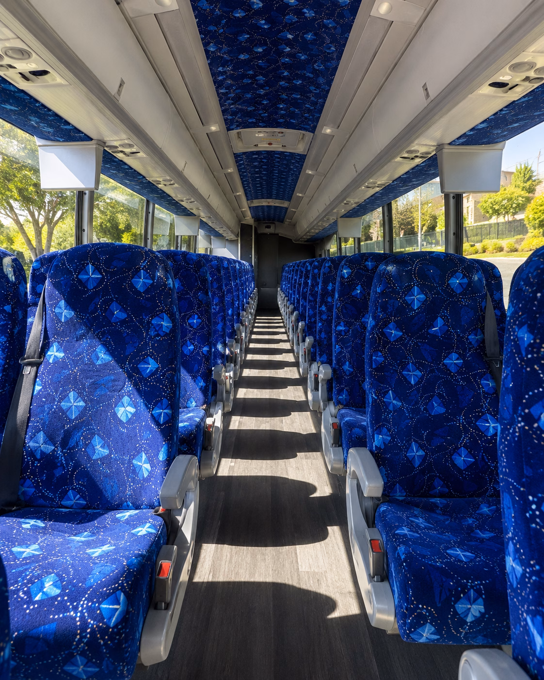 alexandria bus rentals
